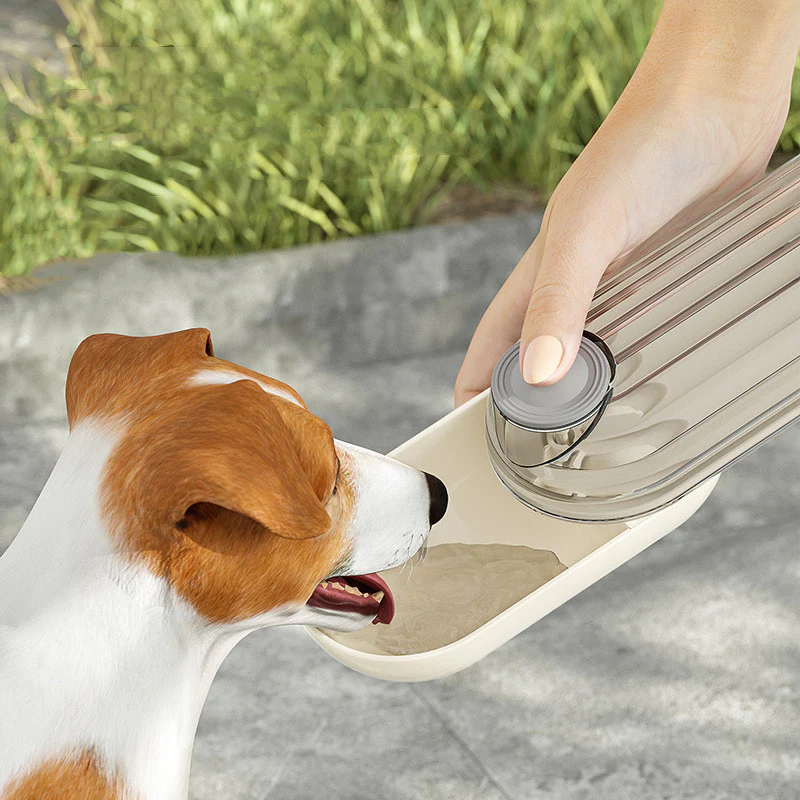 Eco-Friendly 2-in-1 Pet Water and Food Container - Image 22
