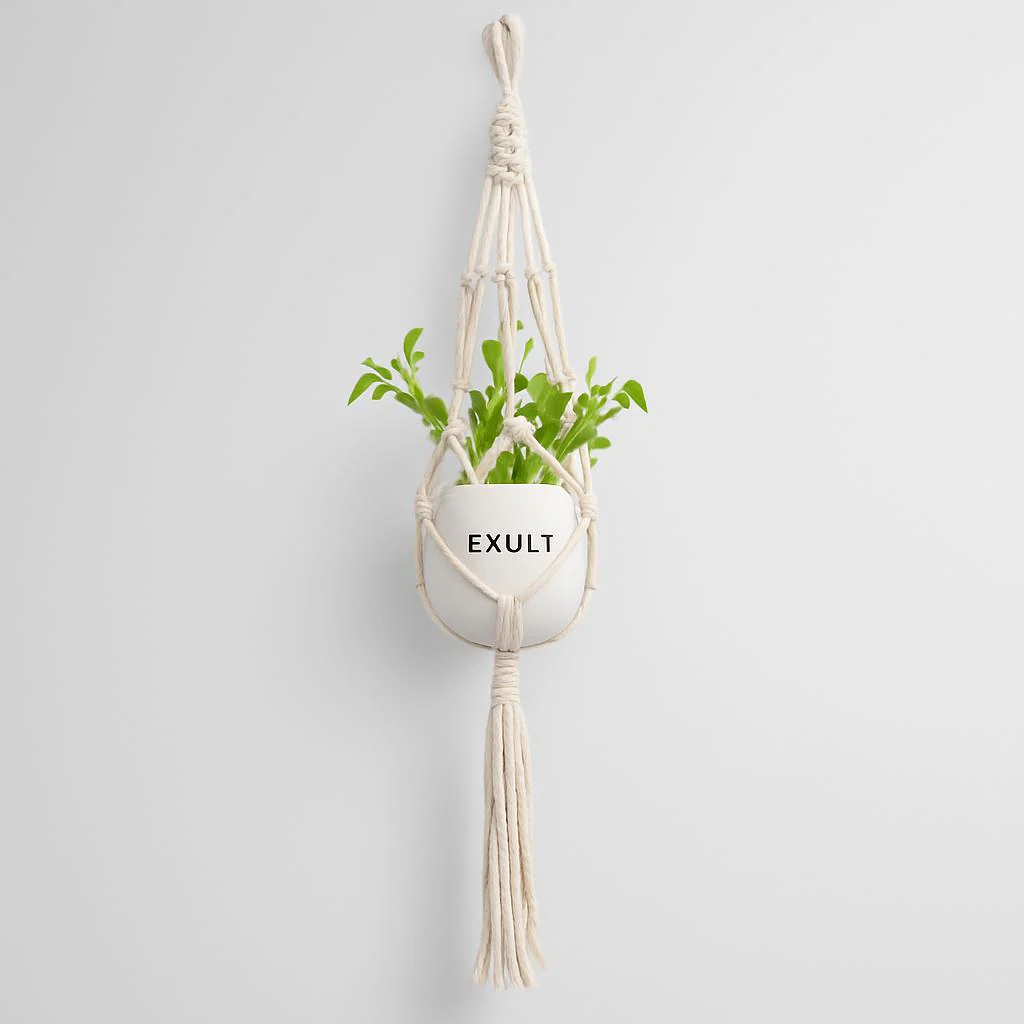 Eco-Friendly Macramé Plant Hangers - Natural Off-White Cotton - Image 10