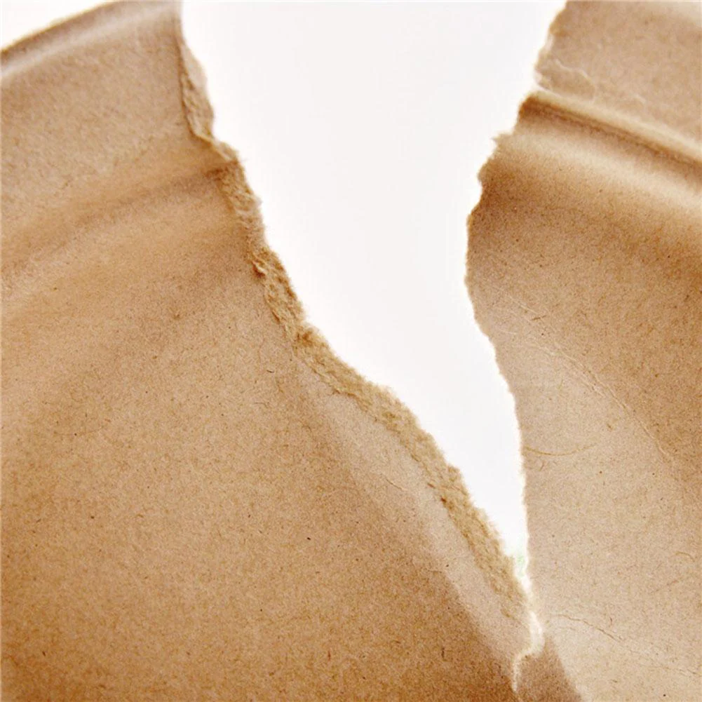 Eco-Friendly Biodegradable Paper Trays - 6, 7, 9 Inch (50 Pack) - Image 12