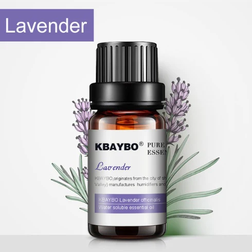 Natural Aromatherapy Essential Oils Set - Eco-Friendly Glass Bottles - Image 32