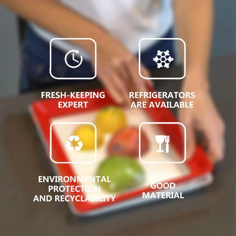Eco-Friendly Defrosting Tray for Quick Thawing - Image 23