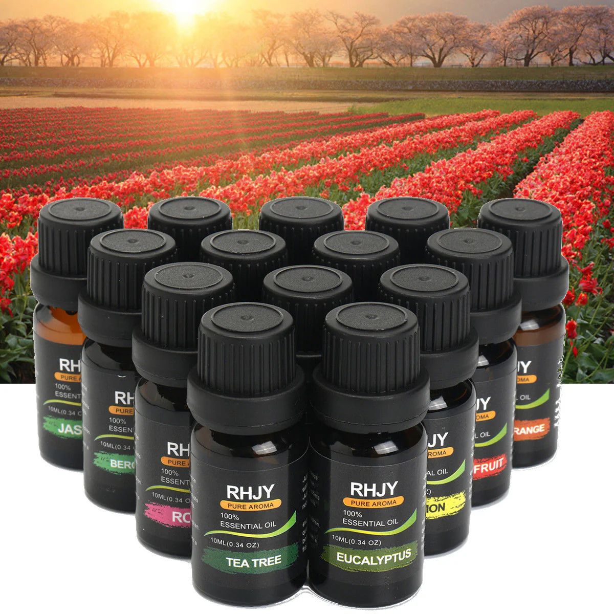 Aromatherapy Essential Oil Set for Wellness and Relaxation - Image 10