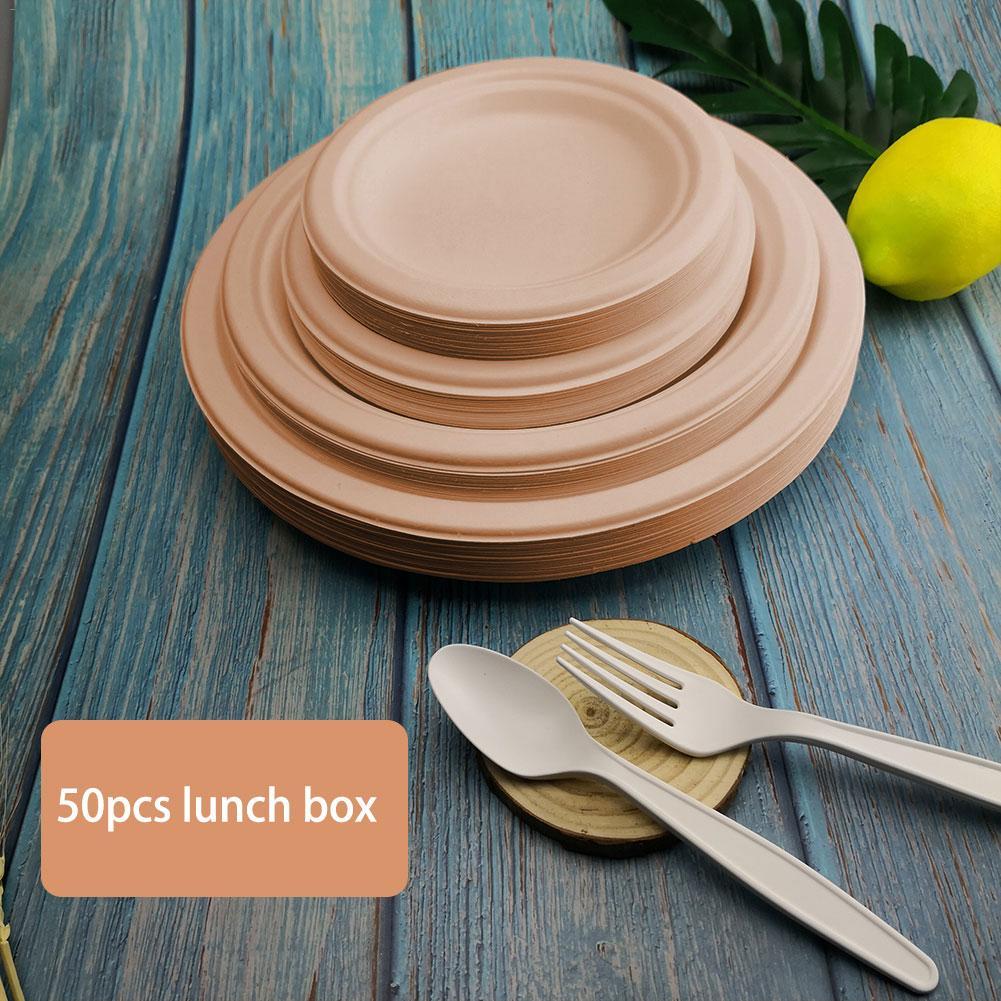 Eco-Friendly Biodegradable Round Dinner Plates - Natural Beige - Image 11