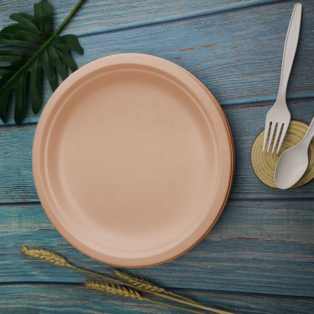Eco-Friendly Biodegradable Round Dinner Plates - Natural Beige - Image 13