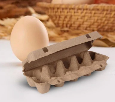 Eco-Friendly Egg Carton - Sustainable, Biodegradable Packaging for a Greener Planet - Image 9