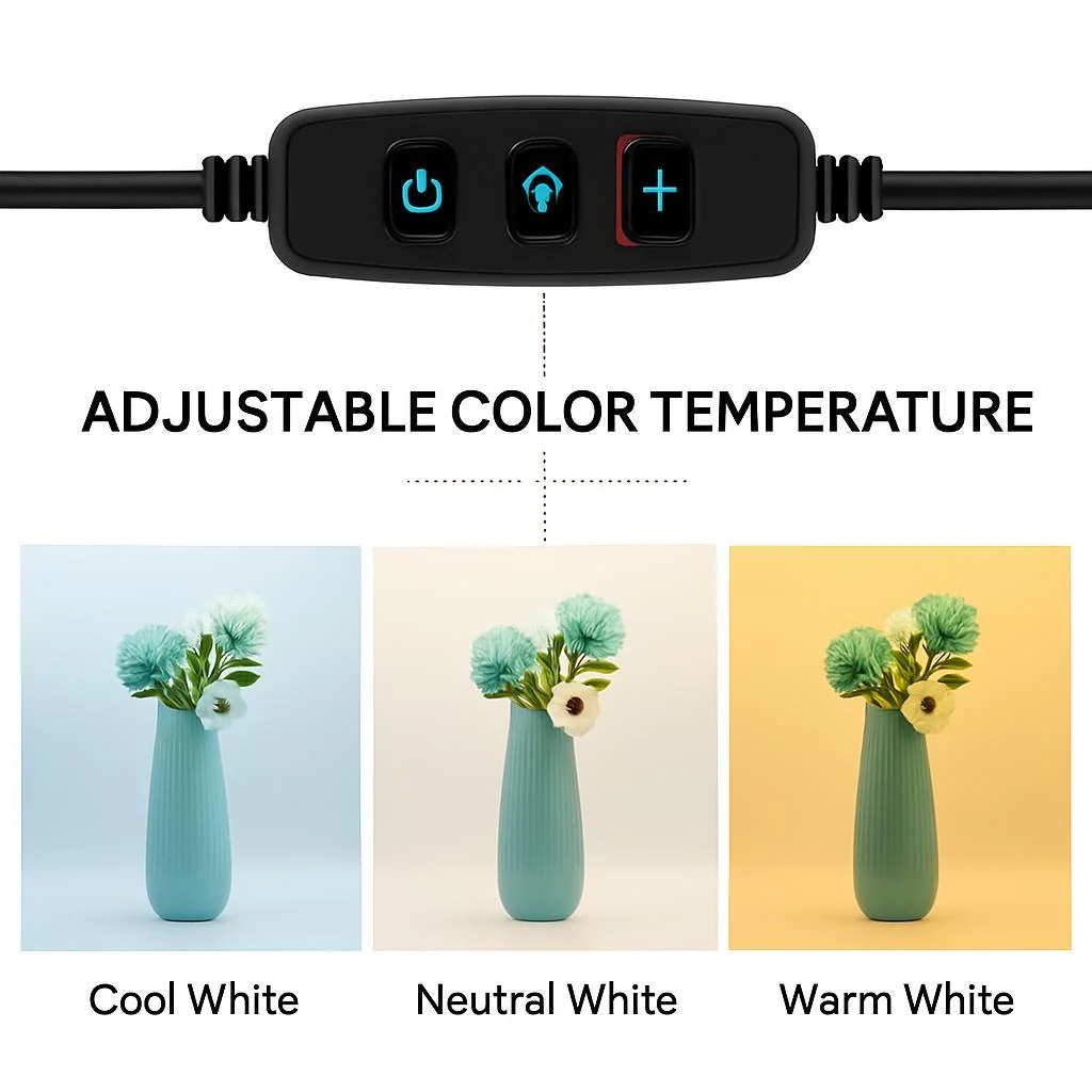 Portable Photo Studio Light Box with Multi-Colored Backdrops - Image 3