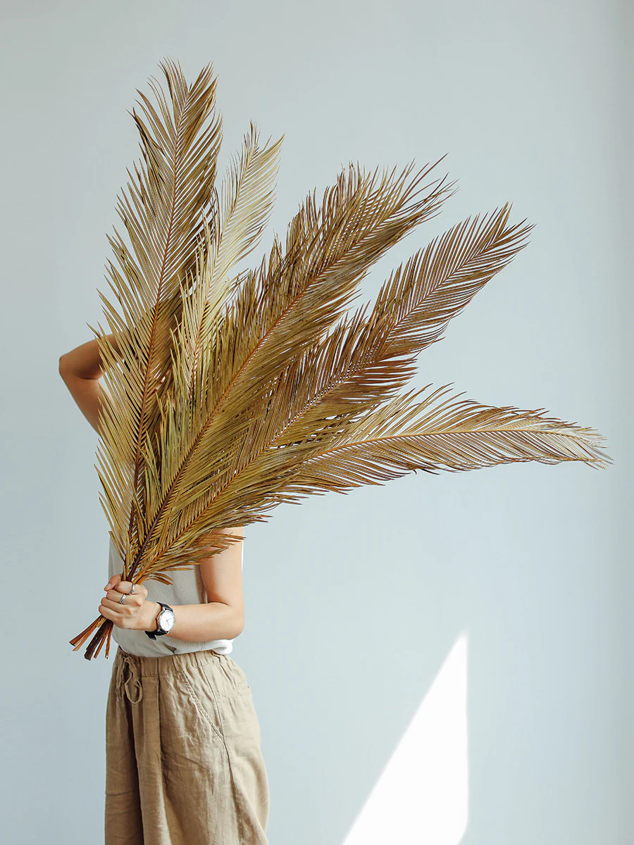 Natural Dried Fructose Dragon Blood Palm Fan Leaves – Boho Wedding & Home Décor - Image 10