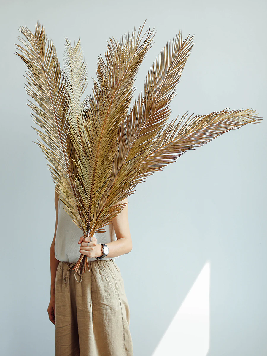 Natural Dried Fructose Dragon Blood Palm Fan Leaves – Boho Wedding & Home Décor - Image 12