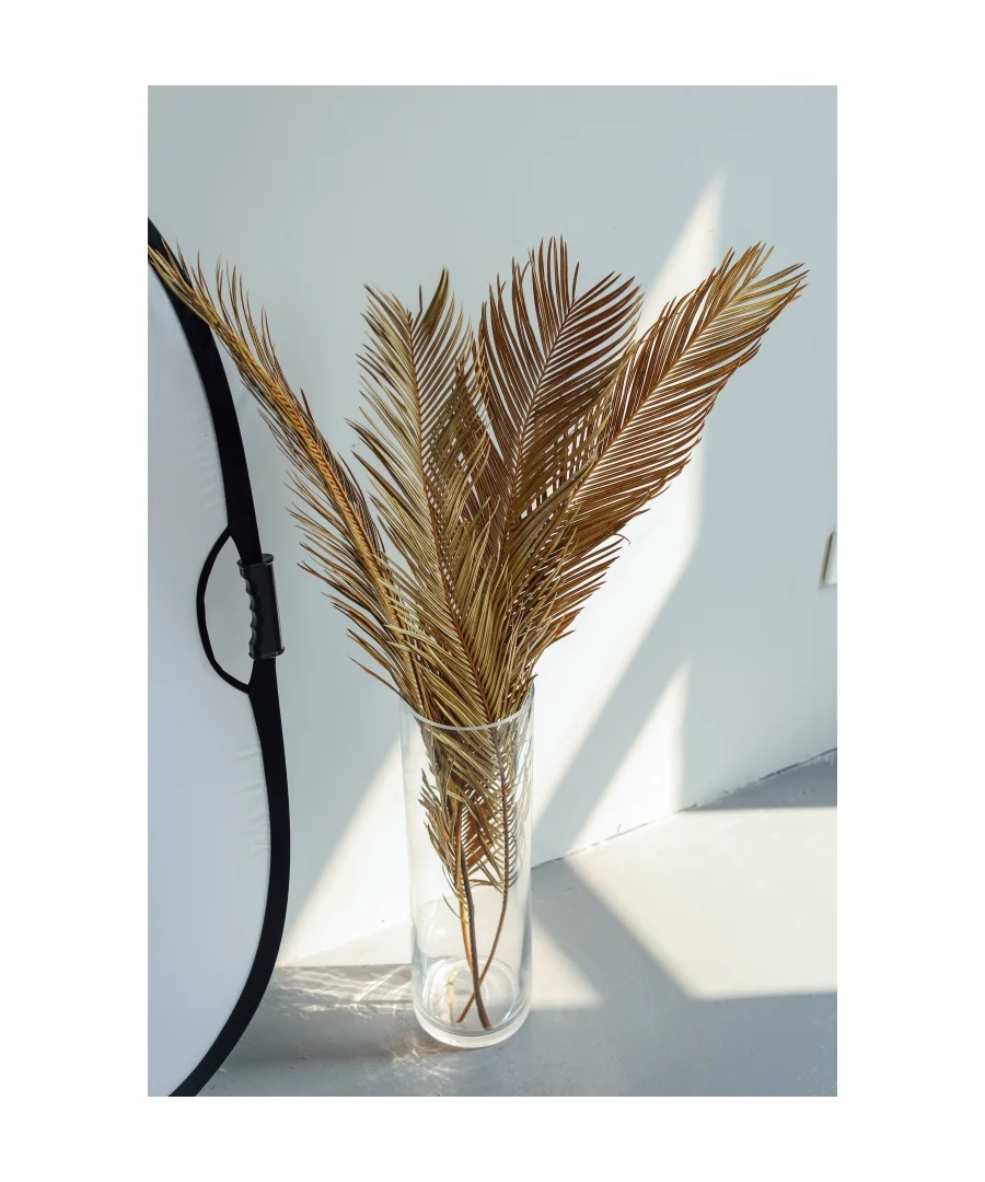 Natural Dried Fructose Dragon Blood Palm Fan Leaves – Boho Wedding & Home Décor - Image 14
