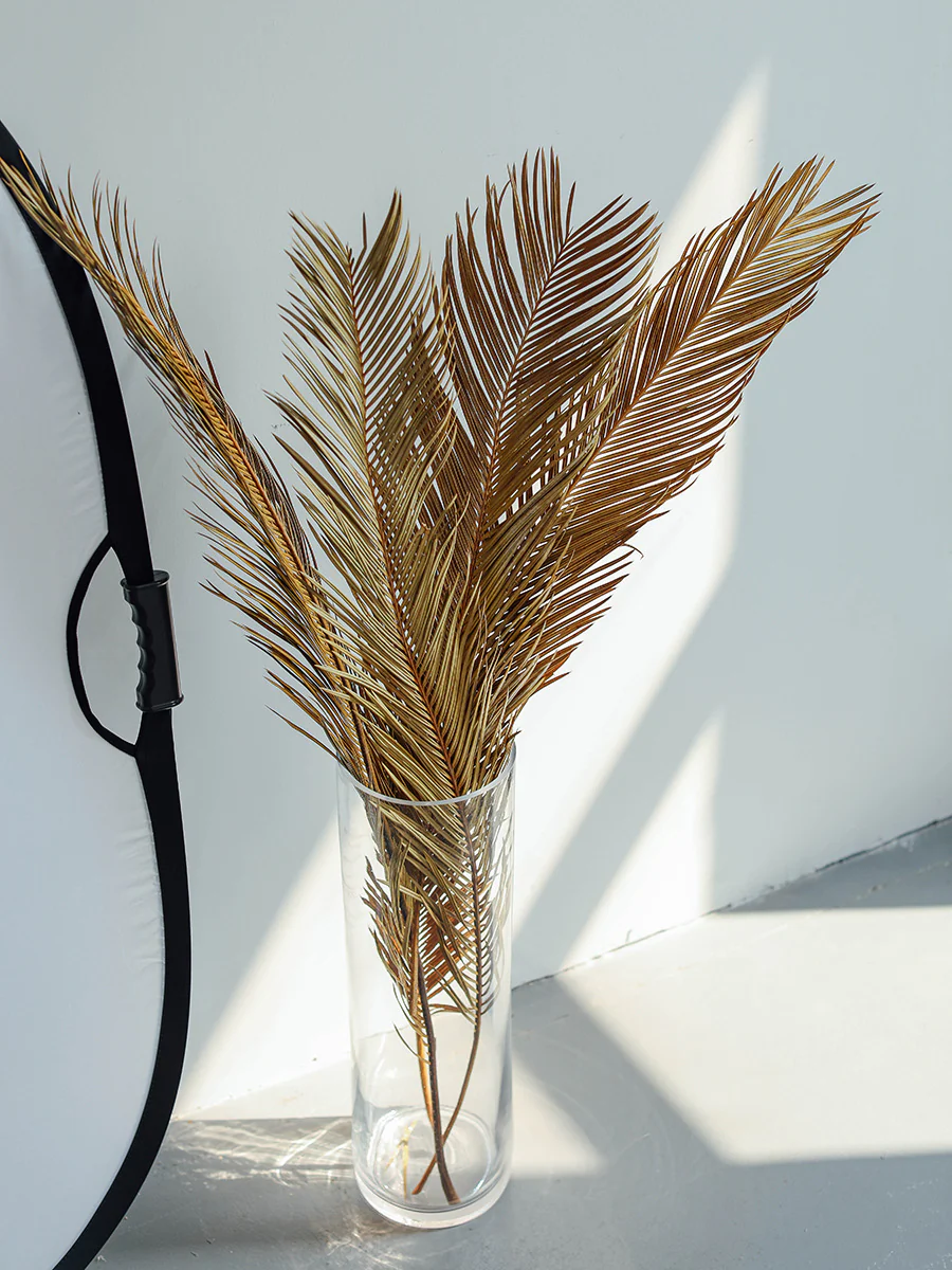 Natural Dried Fructose Dragon Blood Palm Fan Leaves – Boho Wedding & Home Décor - Image 16