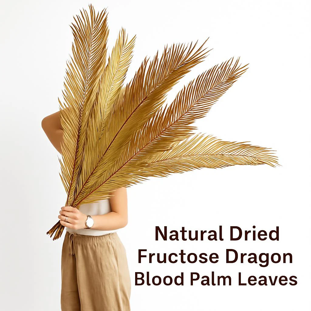 Natural Dried Fructose Dragon Blood Palm Fan Leaves – Boho Wedding & Home Décor - Image 2