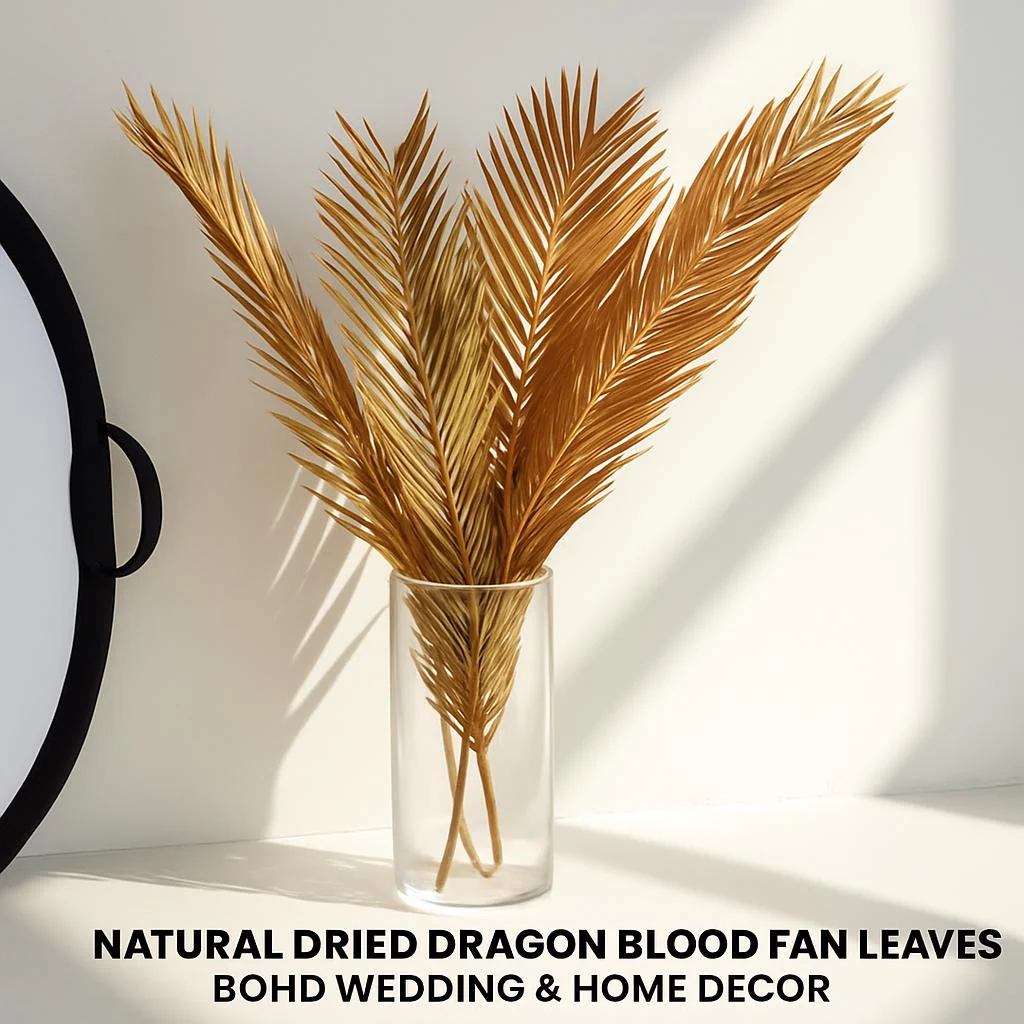 Natural Dried Fructose Dragon Blood Palm Fan Leaves – Boho Wedding & Home Décor - Image 6