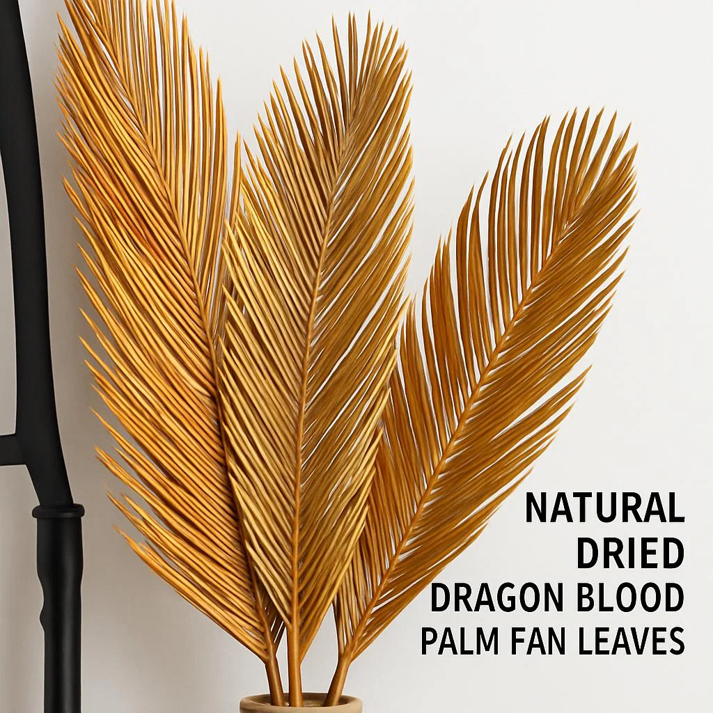 Natural Dried Fructose Dragon Blood Palm Fan Leaves – Boho Wedding & Home Décor - Image 7