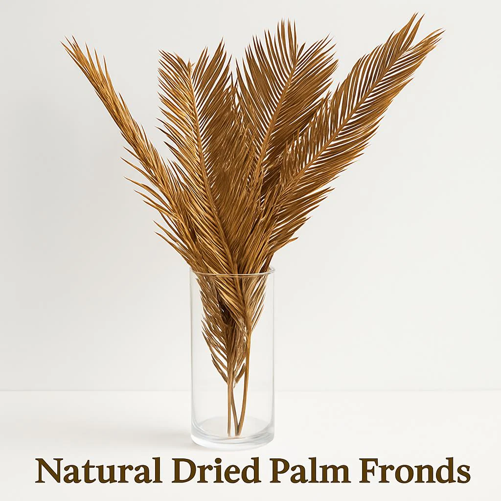 Natural Dried Fructose Dragon Blood Palm Fan Leaves – Boho Wedding & Home Décor - Image 8