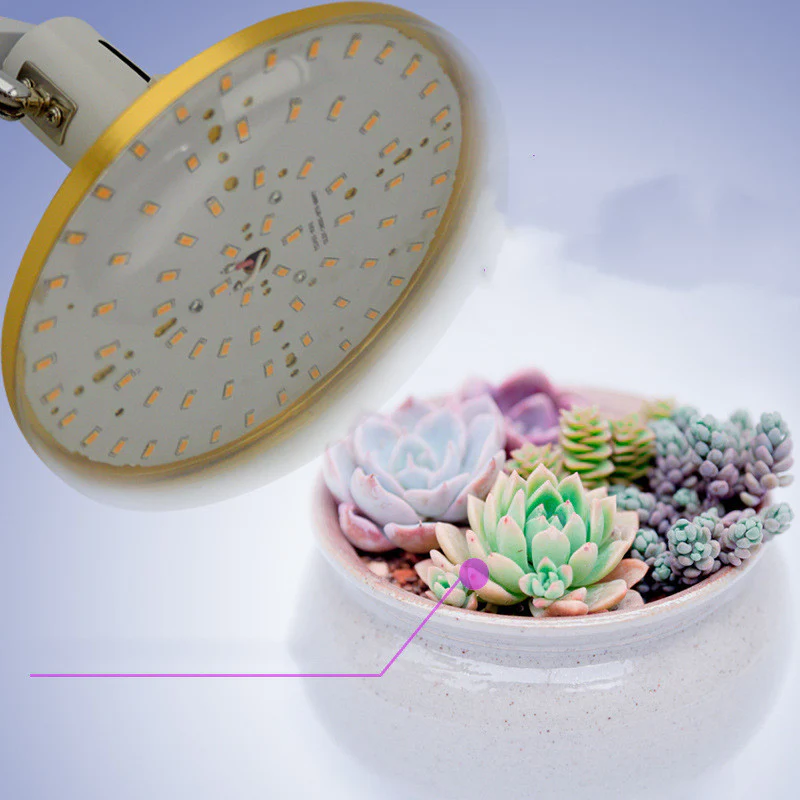 Energy-Efficient LED Planet Grow Light for Indoor Plants - Image 13