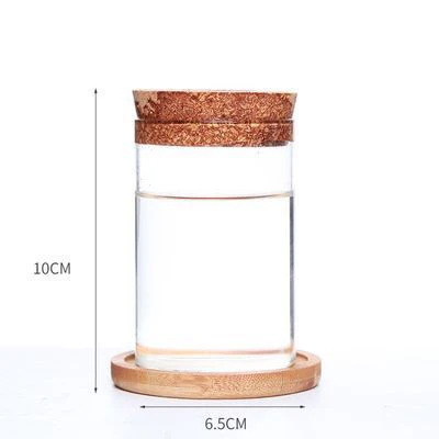 Eco-Friendly Glass Gardening Vase for Home & Office - Image 10
