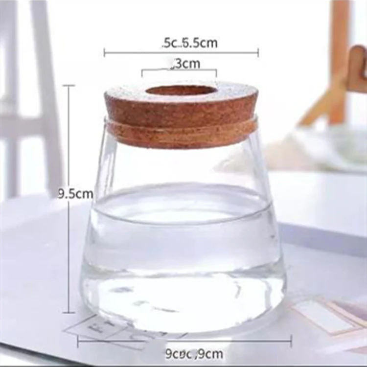 Eco-Friendly Glass Gardening Vase for Home & Office - Image 4