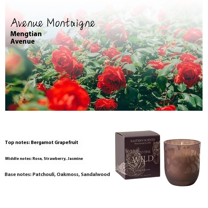 Eco-Friendly Handmade Aromatherapy Candles Set - Image 10