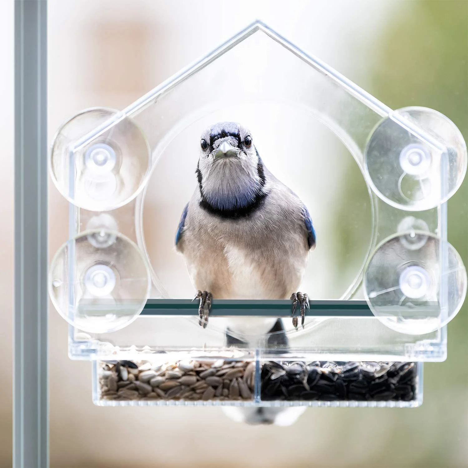 Transparent Window Bird Feeder - Eco-Friendly, Durable, Easy to Install - Image 7