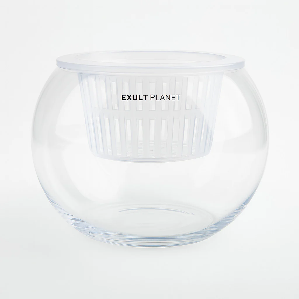 Clear Round Hydroponic Plant Vase for Indoor Gardening