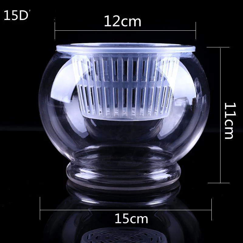 Clear Round Hydroponic Plant Vase for Indoor Gardening - Image 12