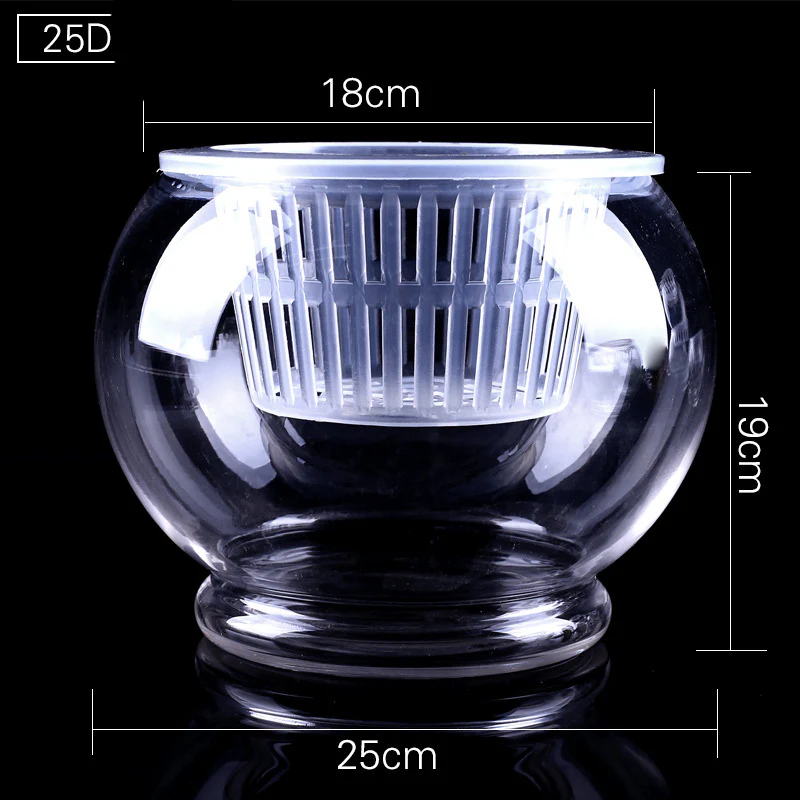 Clear Round Hydroponic Plant Vase for Indoor Gardening - Image 14