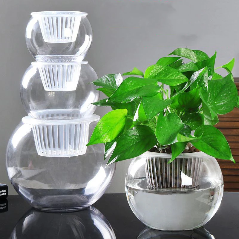 Clear Round Hydroponic Plant Vase for Indoor Gardening - Image 16