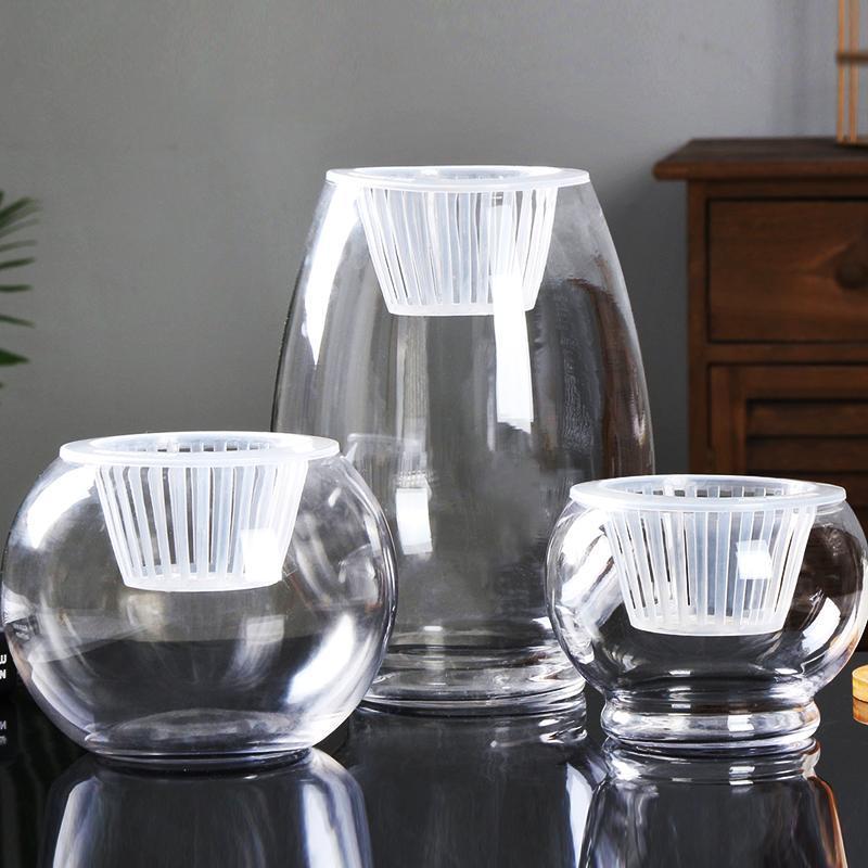 Clear Round Hydroponic Plant Vase for Indoor Gardening - Image 18