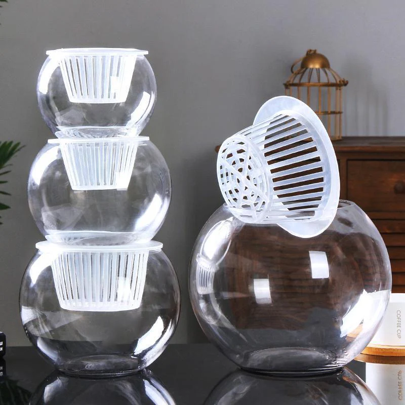 Clear Round Hydroponic Plant Vase for Indoor Gardening - Image 19