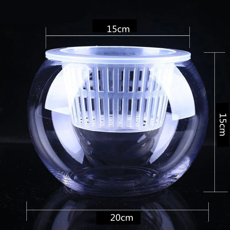 Clear Round Hydroponic Plant Vase for Indoor Gardening - Image 21