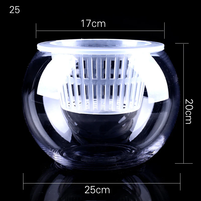 Clear Round Hydroponic Plant Vase for Indoor Gardening - Image 24