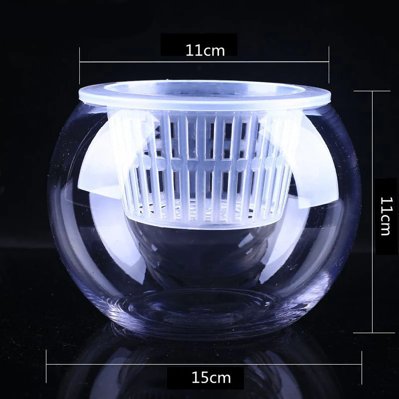 Clear Round Hydroponic Plant Vase for Indoor Gardening - Image 25