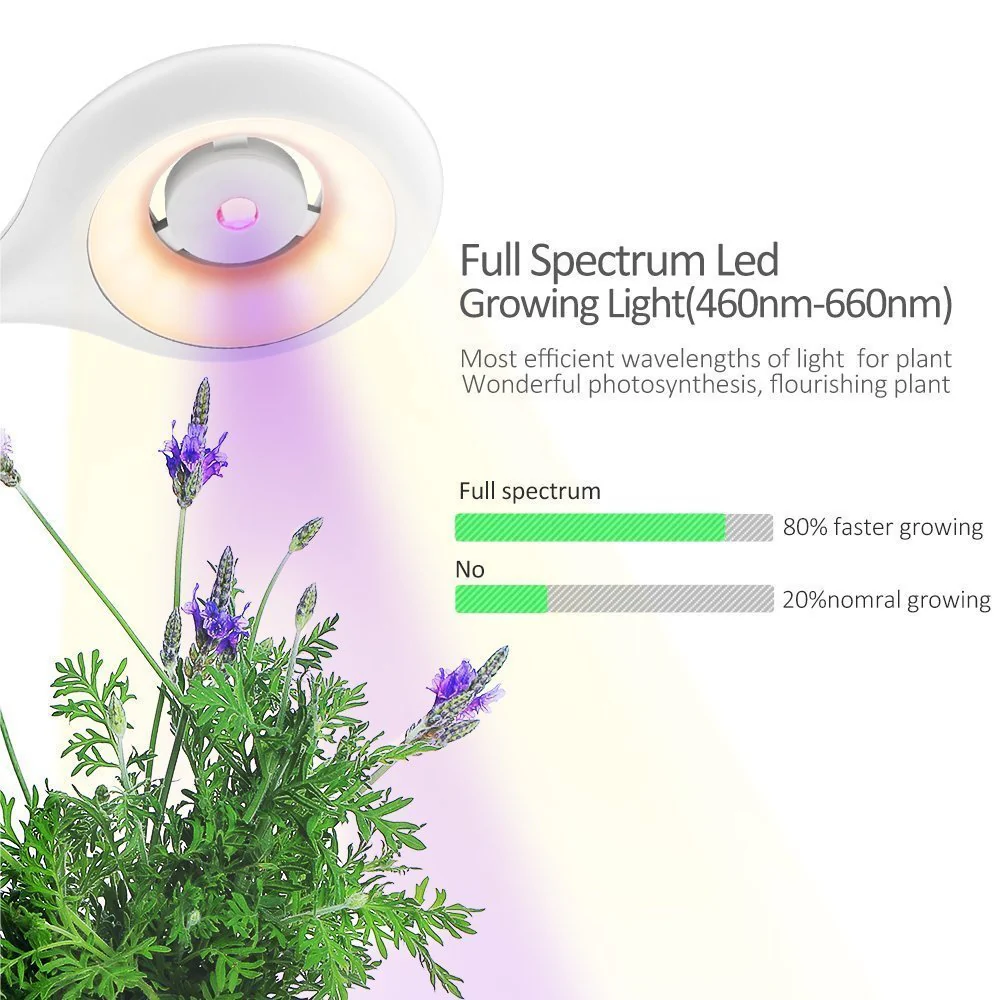 Eco-Friendly Desk Air Purifier with Integrated Plant - Image 9