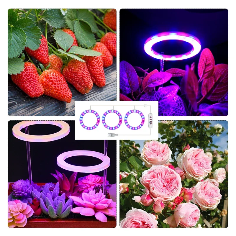 Led Angel Ring Grow Plant Light DC 5V USB Plug Phytolamp for Plants Full Spectrum Lamp For Indoor Seedlings Home Flower Succulet - Image 6