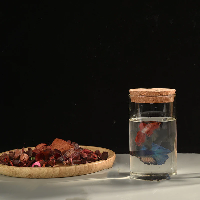 Eco-Friendly Glass Jar Ornament for Micro Landscapes - Image 10