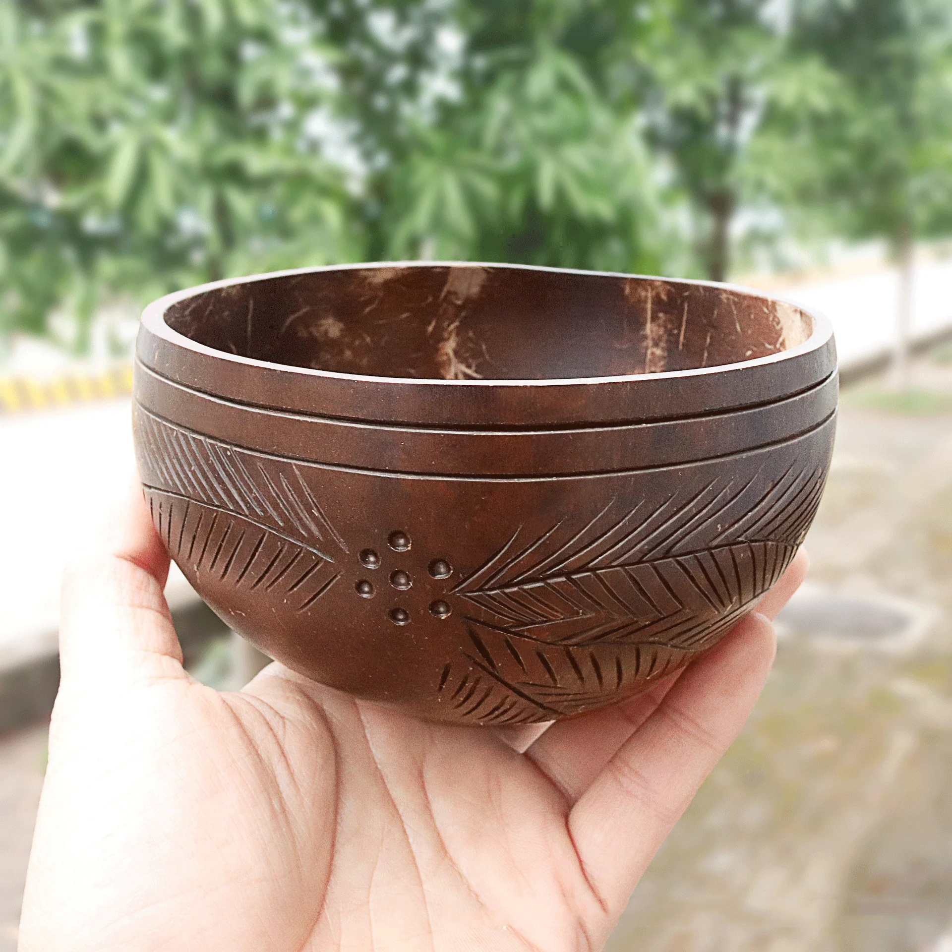 Eco-Friendly Coconut Shell Rice Bowls - Sustainable Biodegradable Dinnerware Set - Image 21