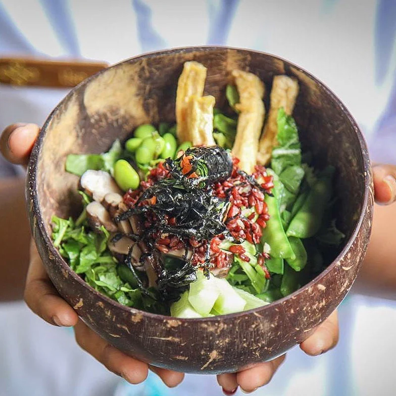 Eco-Friendly Coconut Shell Rice Bowls - Sustainable Biodegradable Dinnerware Set - Image 29