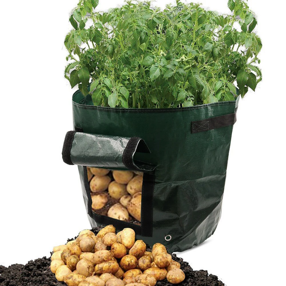 Eco-Friendly Reusable Grow Bag for Urban Gardening - Image 21