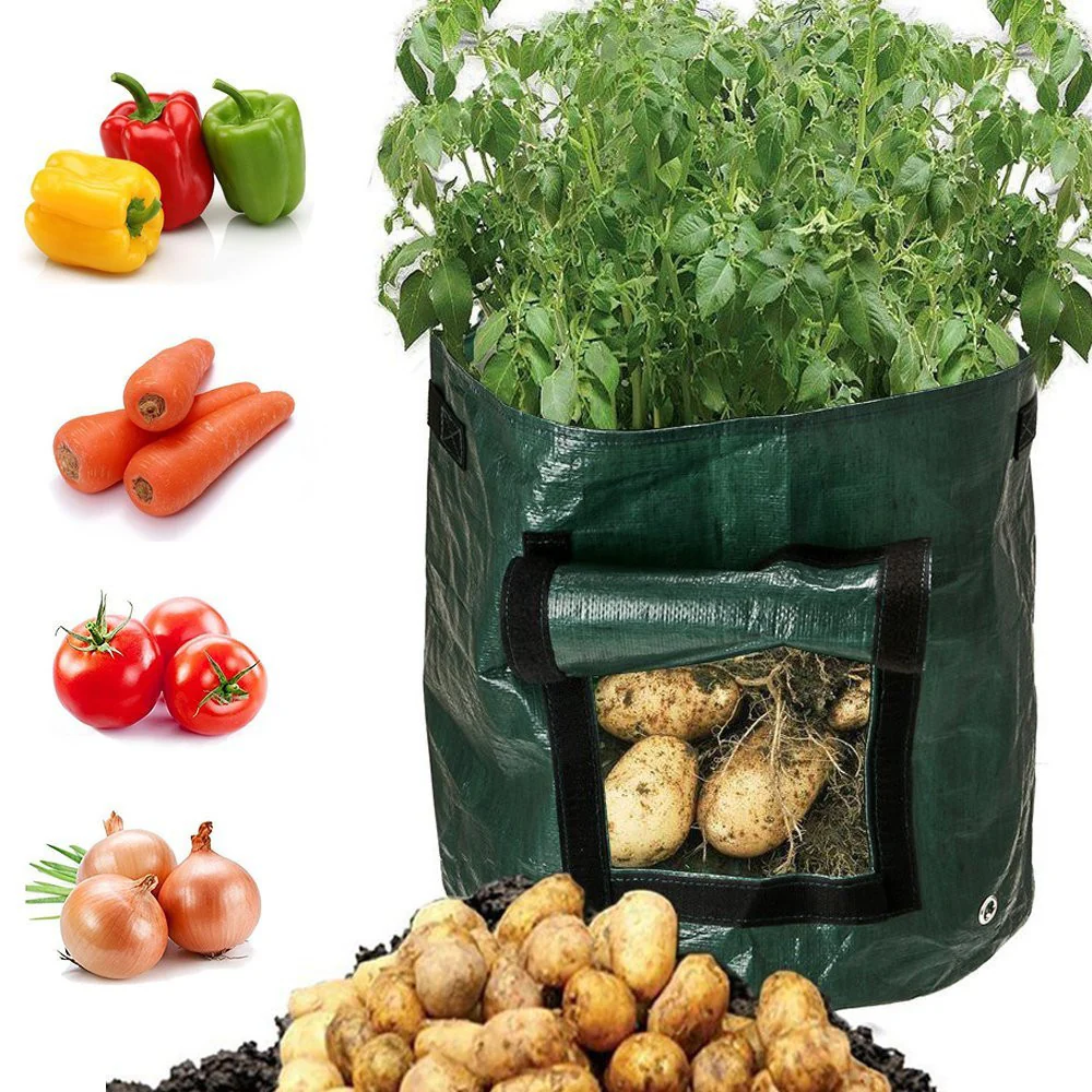 Eco-Friendly Reusable Grow Bag for Urban Gardening - Image 22