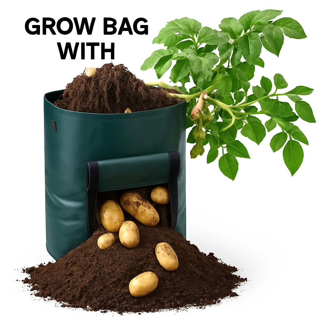 Eco-Friendly Reusable Grow Bag for Urban Gardening - Image 5