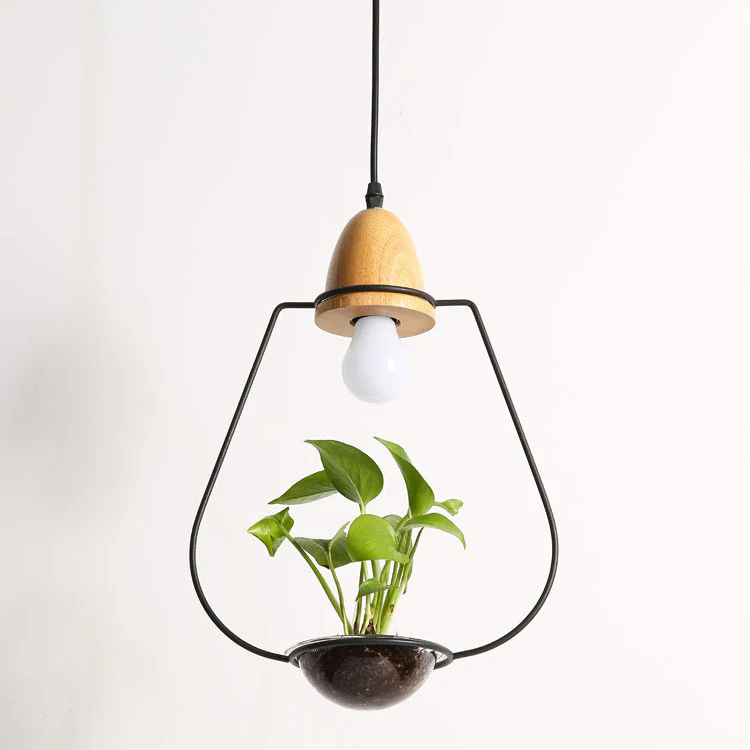 Teardrop Hanging Light Fixture with Integrated Planter - Black Frame, Wooden Accent - Image 10