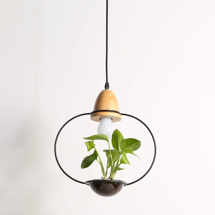 Teardrop Hanging Light Fixture with Integrated Planter - Black Frame, Wooden Accent - Image 11