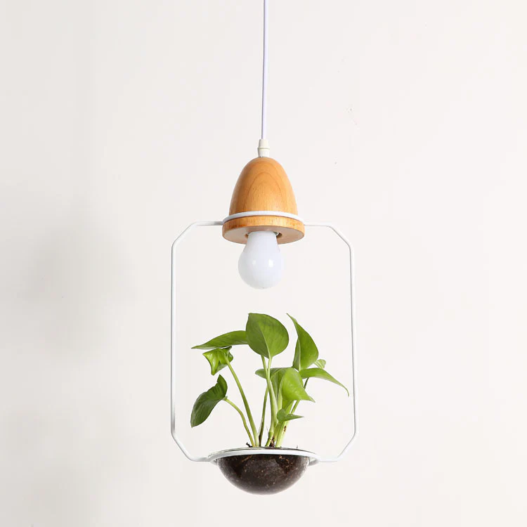 Teardrop Hanging Light Fixture with Integrated Planter - Black Frame, Wooden Accent - Image 12