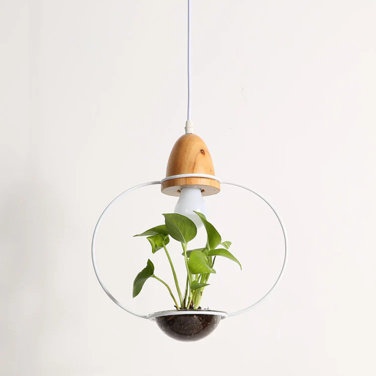 Teardrop Hanging Light Fixture with Integrated Planter - Black Frame, Wooden Accent - Image 13