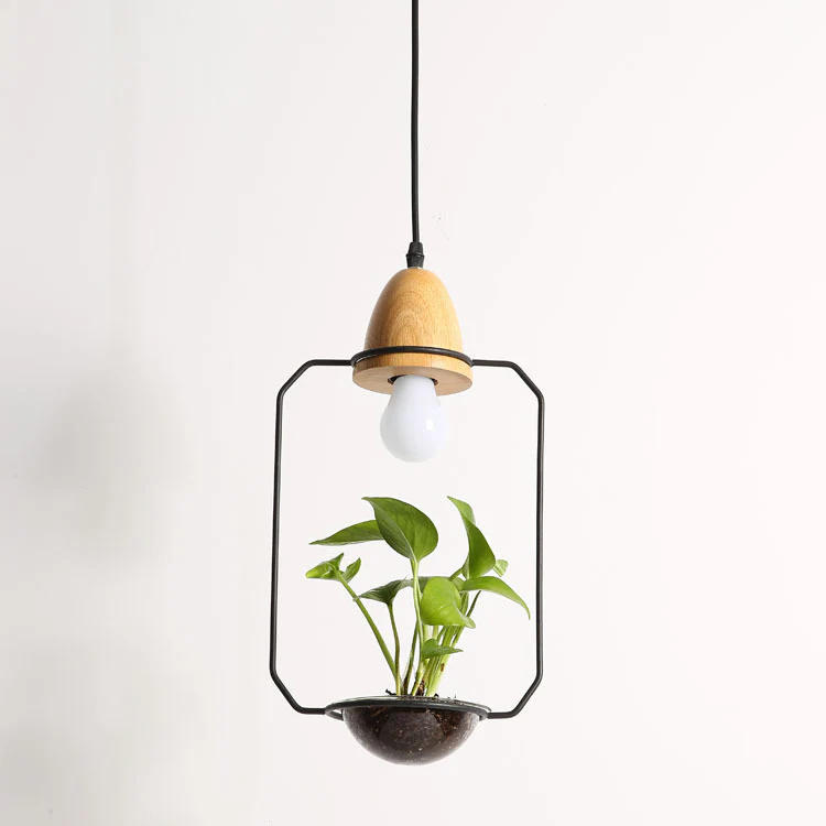 Teardrop Hanging Light Fixture with Integrated Planter - Black Frame, Wooden Accent - Image 14