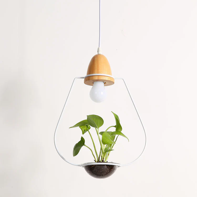Teardrop Hanging Light Fixture with Integrated Planter - Black Frame, Wooden Accent - Image 15