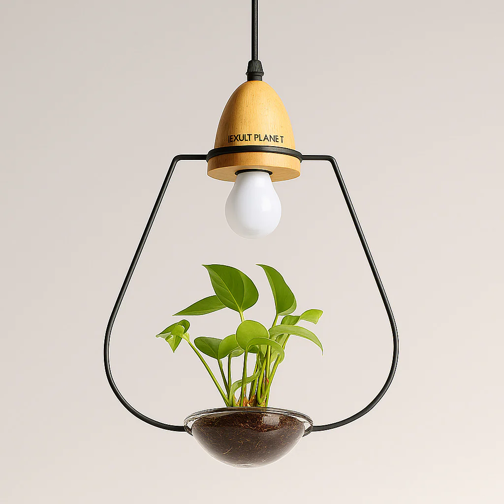 Teardrop Hanging Light Fixture with Integrated Planter - Black Frame, Wooden Accent - Image 9
