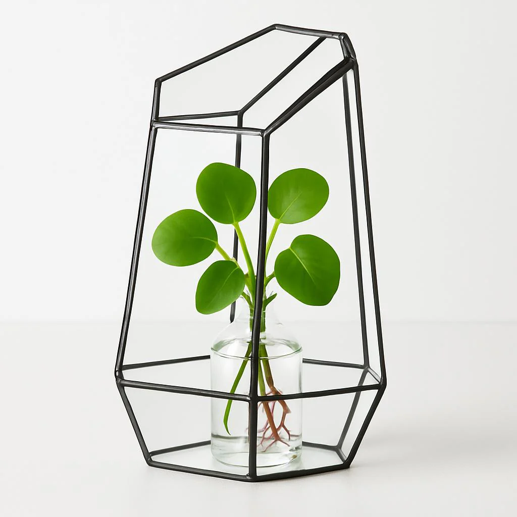 Eco-Friendly Plant Bottle for Stylish Home Decor - Image 6