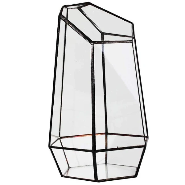 Eco-Friendly Plant Bottle for Stylish Home Decor - Image 8
