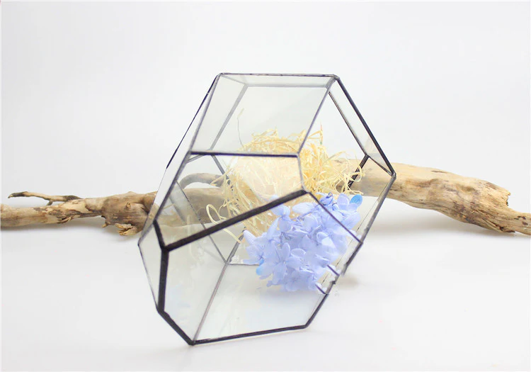Eco-Friendly Plant Bottle for Stylish Home Decor - Image 9